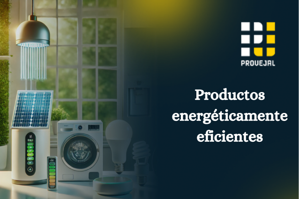5 razones para comenzar el año con electrodomésticos energéticamente eficientes